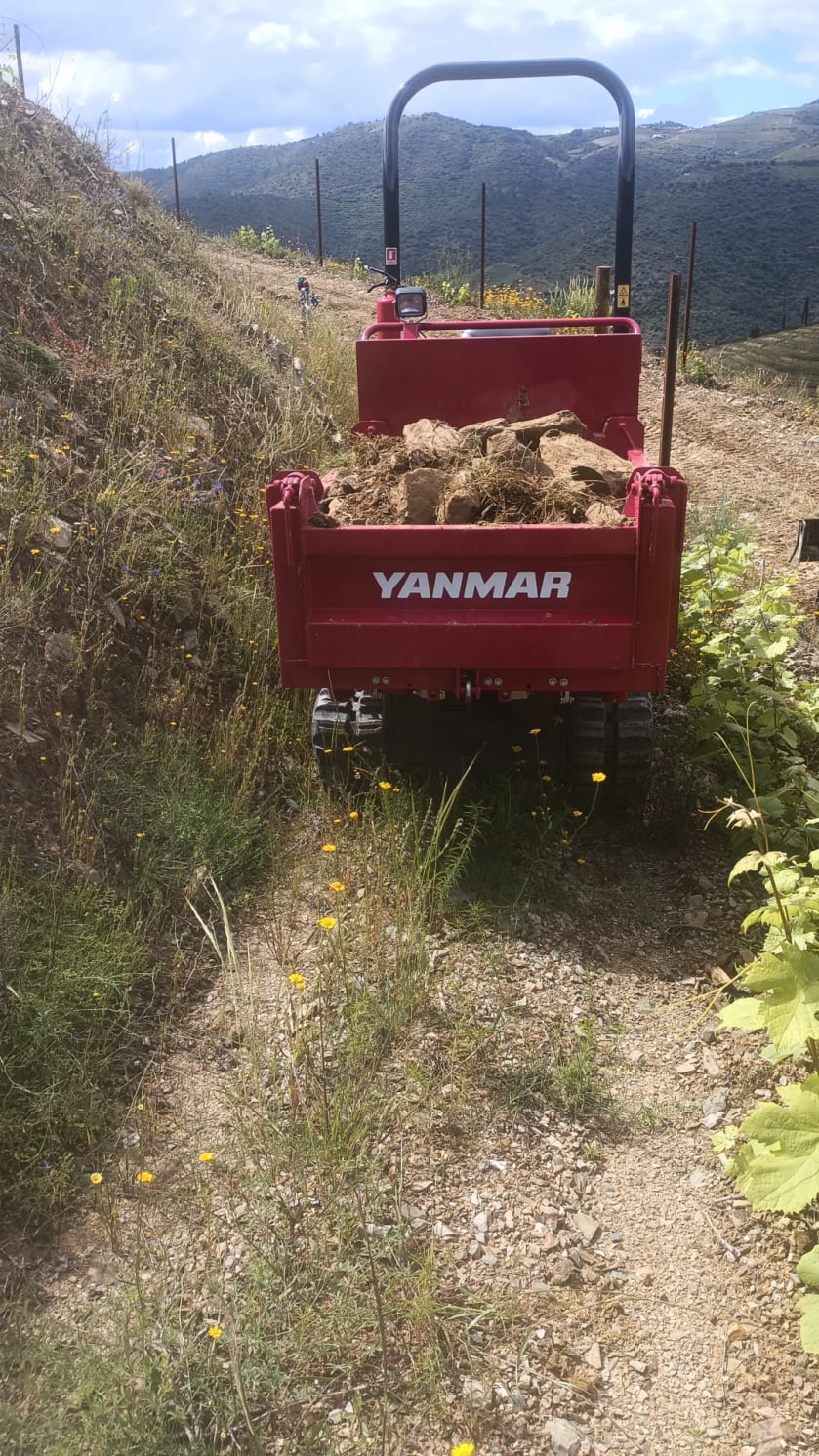 Dumper C12R-C