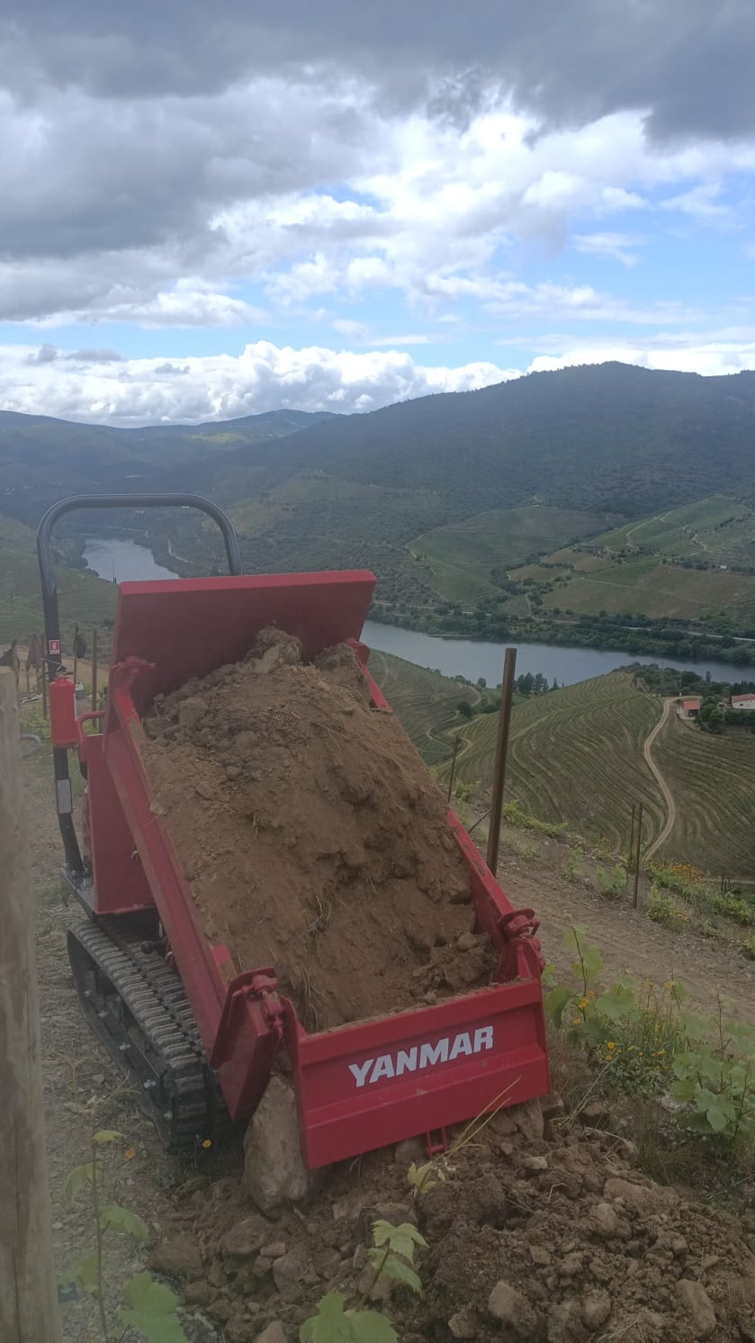 Dumper C12R-C